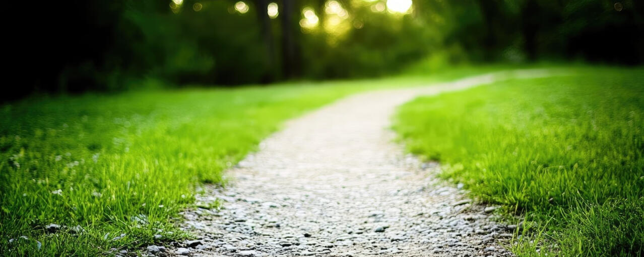 Close-up view of a curved gravel footpath winding through green grass into blurred woods